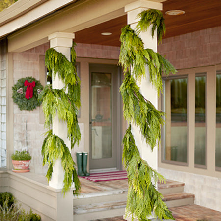 Western Cedar Gift Garlands